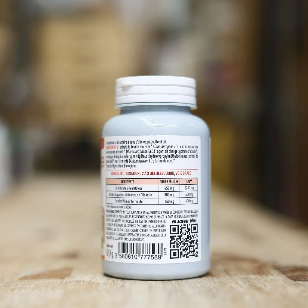 _HOC0707.webp