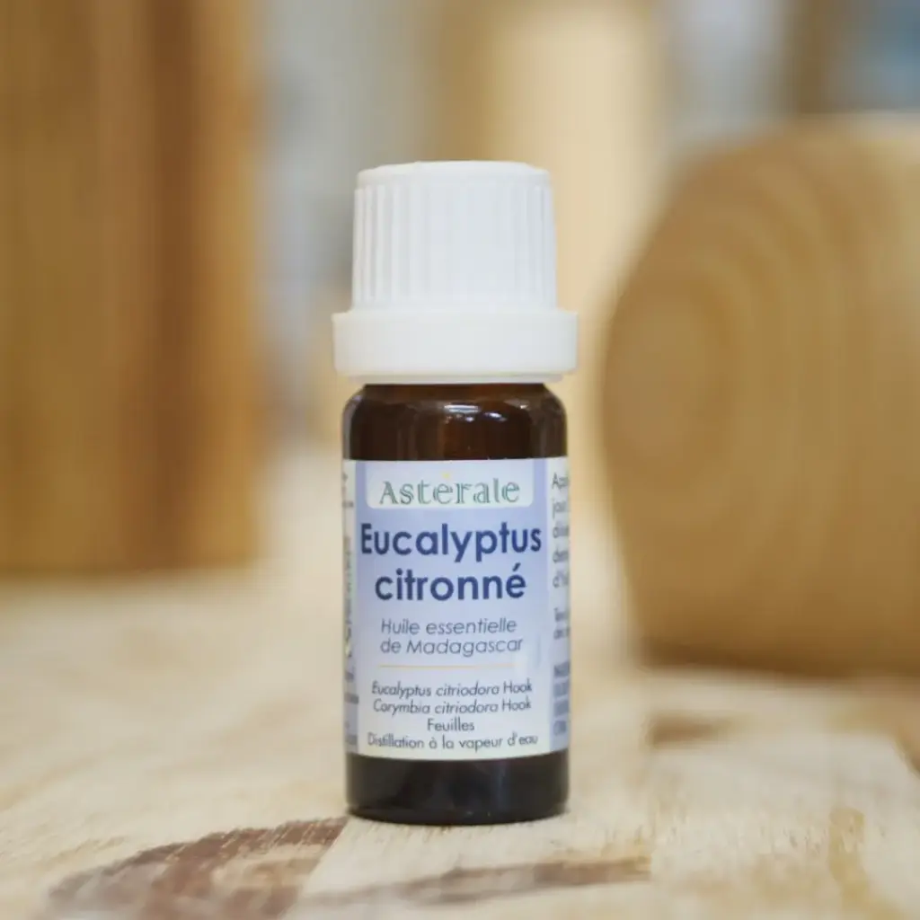 EUCALYPTUS CITRONNÉ en huile essentielle en 10 ml ASTÉRALE