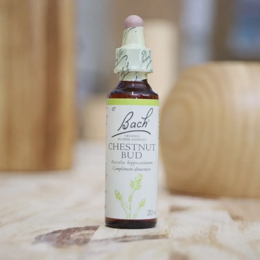 [F07] CHESNUT BUD 20 ml Fleur de BACH