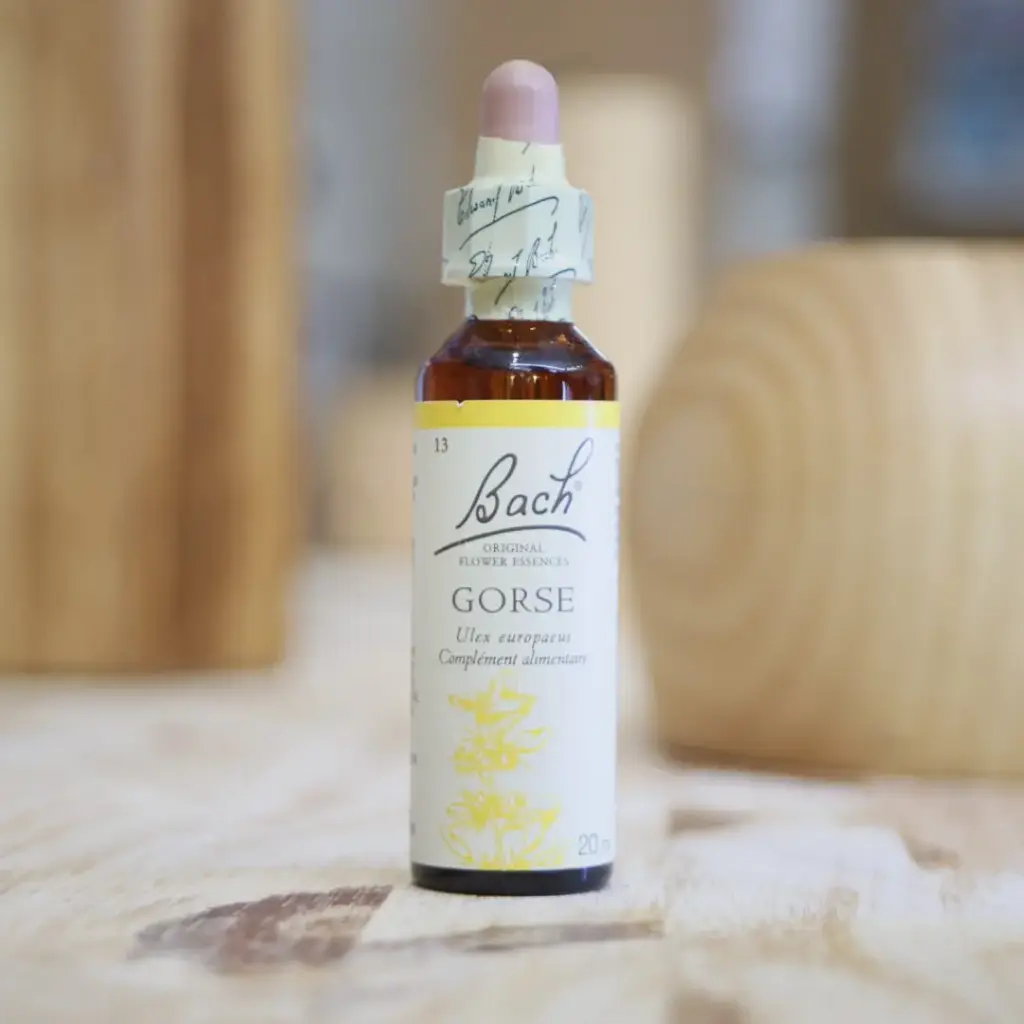 [F13] GORSE 20 ml Fleur de BACH