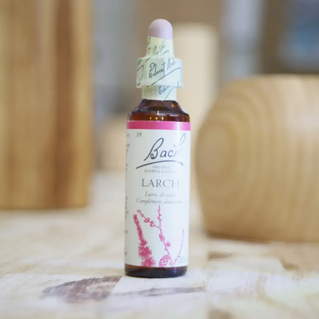 [F19] LARCH 20 ml Fleur de BACH