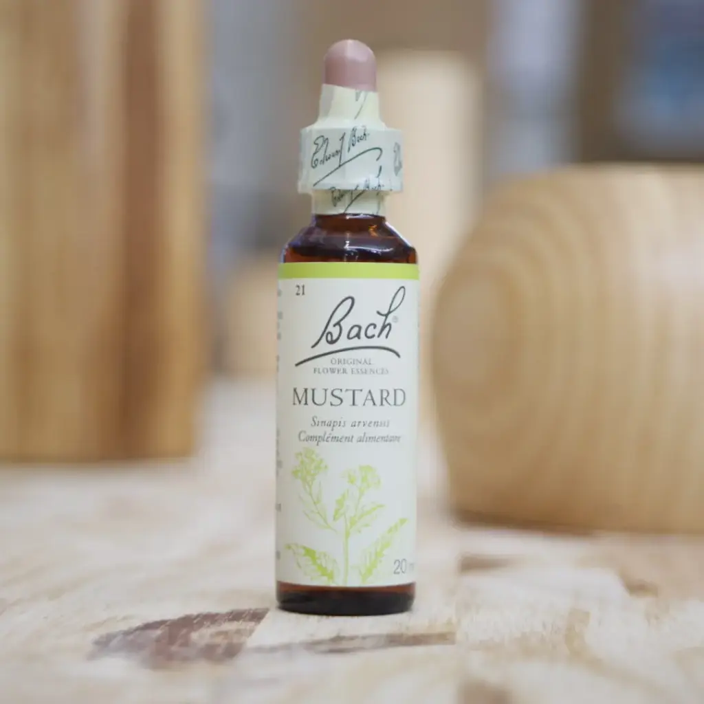 MUSTARD 20 ml Fleur de BACH