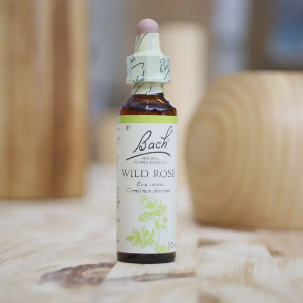 WILD ROSE 20 ml Fleur de BACH