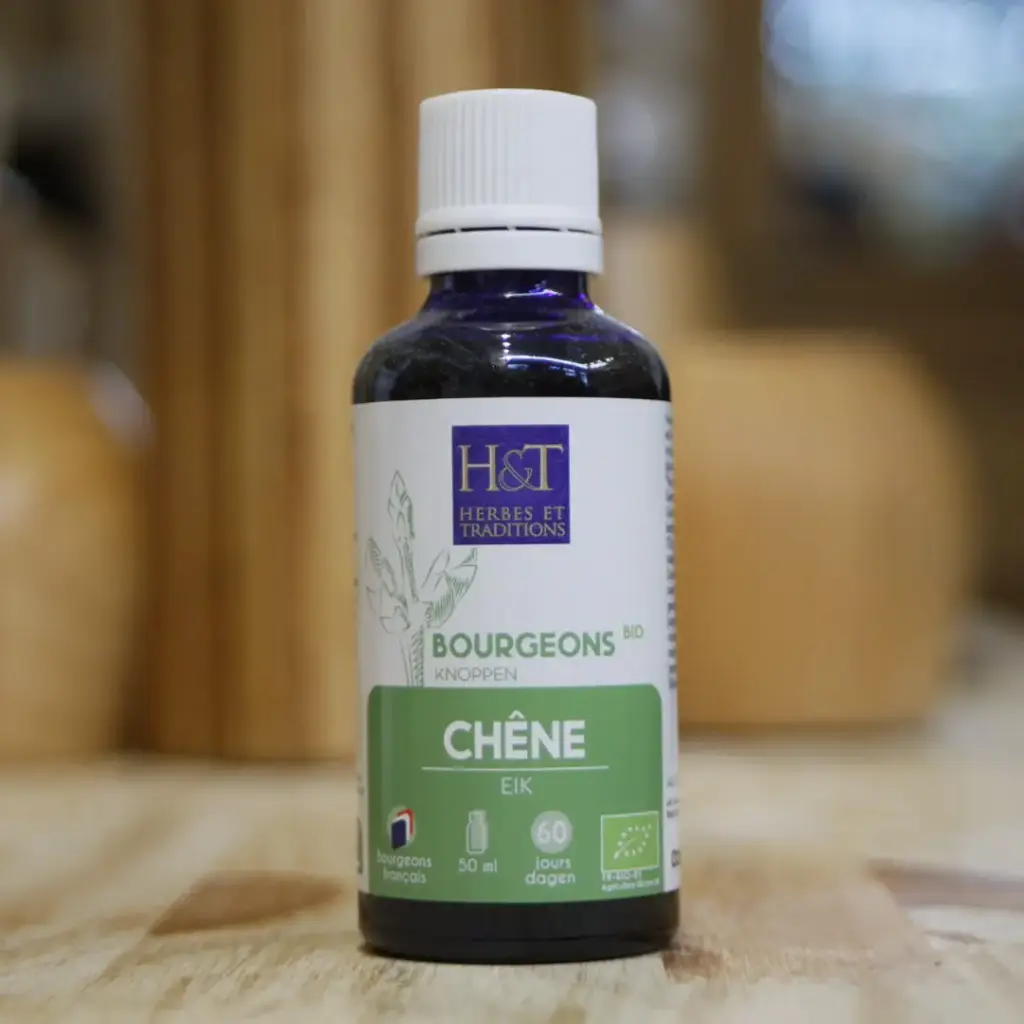 CHENE BIO en macérat de bourgeons en 50 ml Herbes et Traditions
