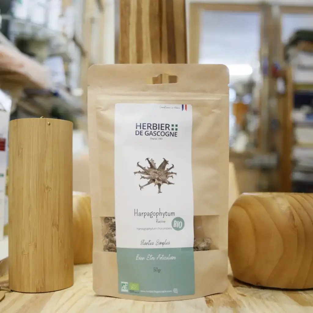 HARPAGOPHYTUMN RACINE BIO en 50 gr pour tisane Herbier de Gascogne