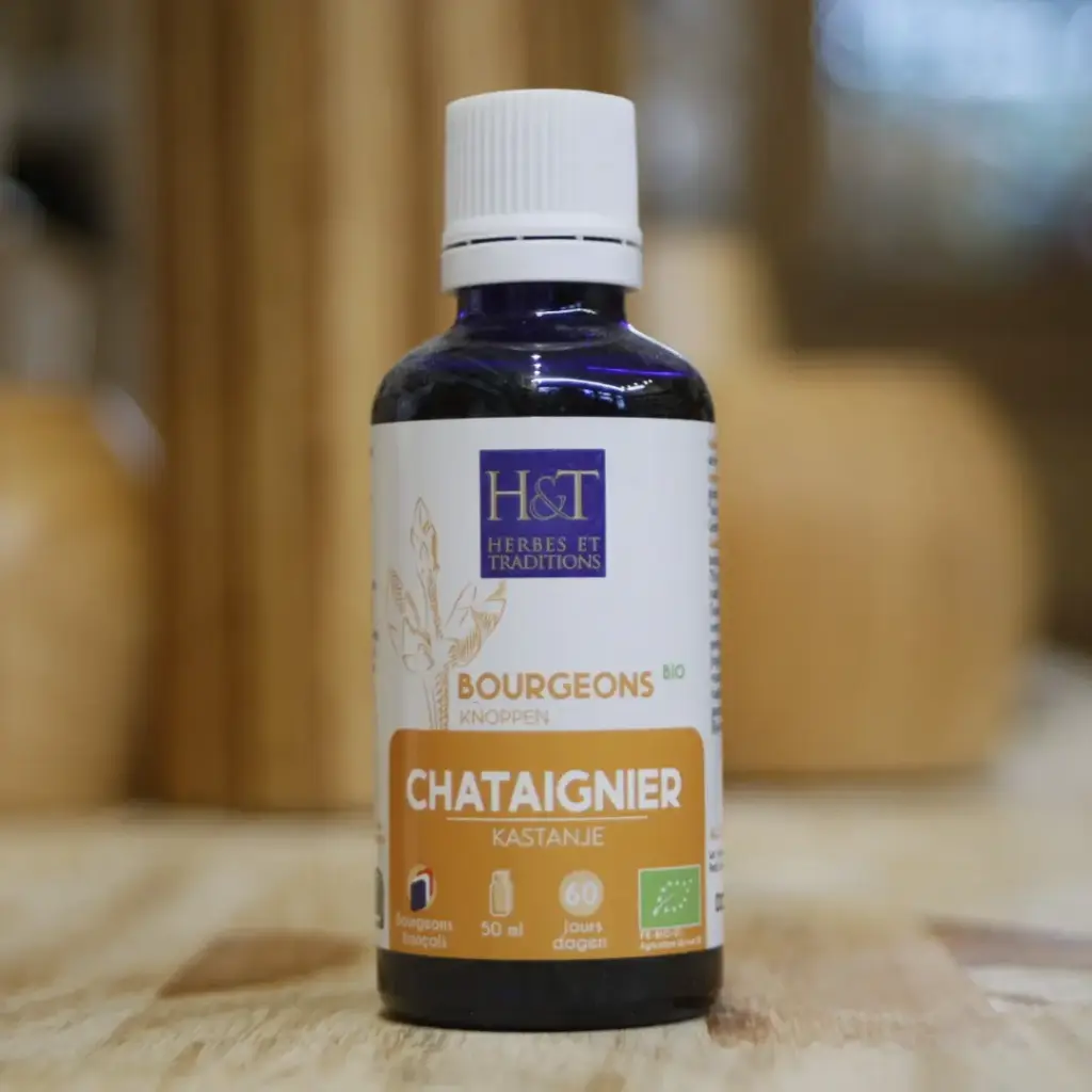 CHÂTAIGNER en macérat de bourgeons BIO en 50 ml Herbes et Traditions