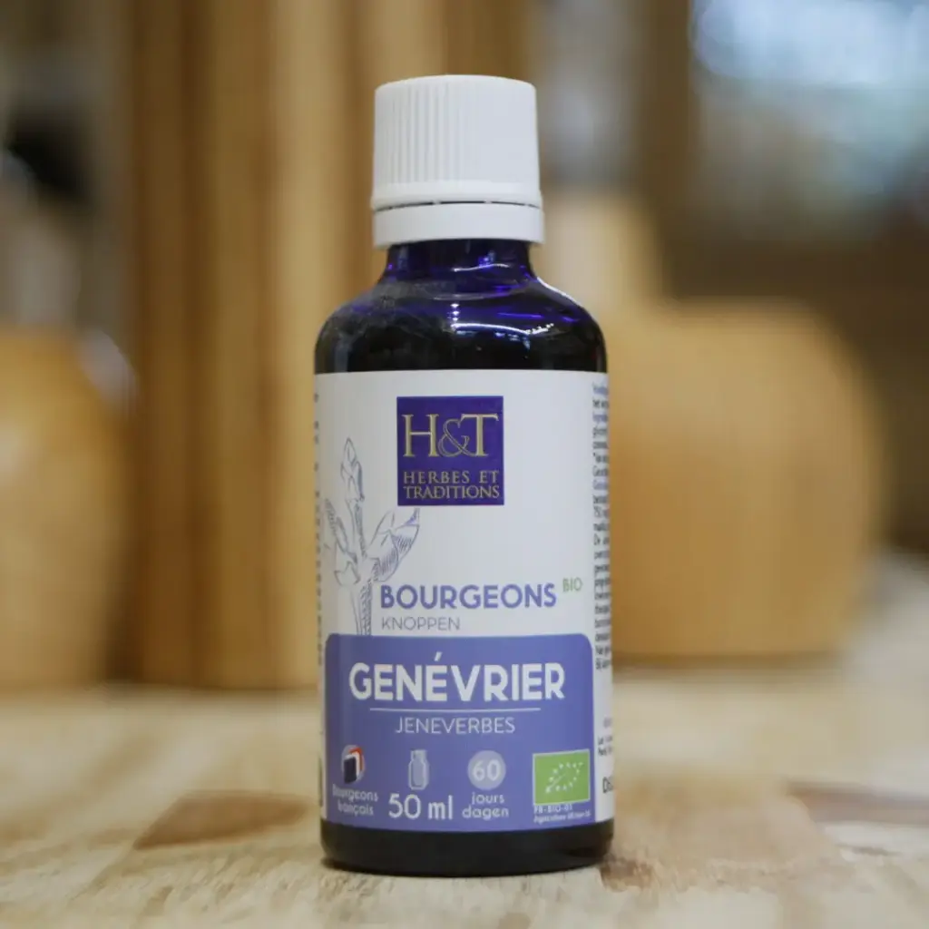 GENÉVRIER BIO en macérat de bourgeons en 50 ml Herbes et Traditions