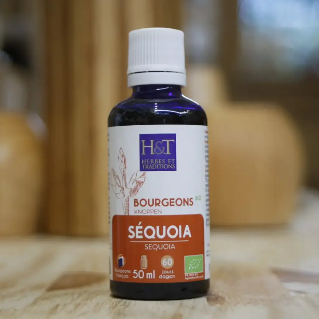 SÉQUOIA BIO en macérât de bourgeons en 50 ml Herbes et Traditions