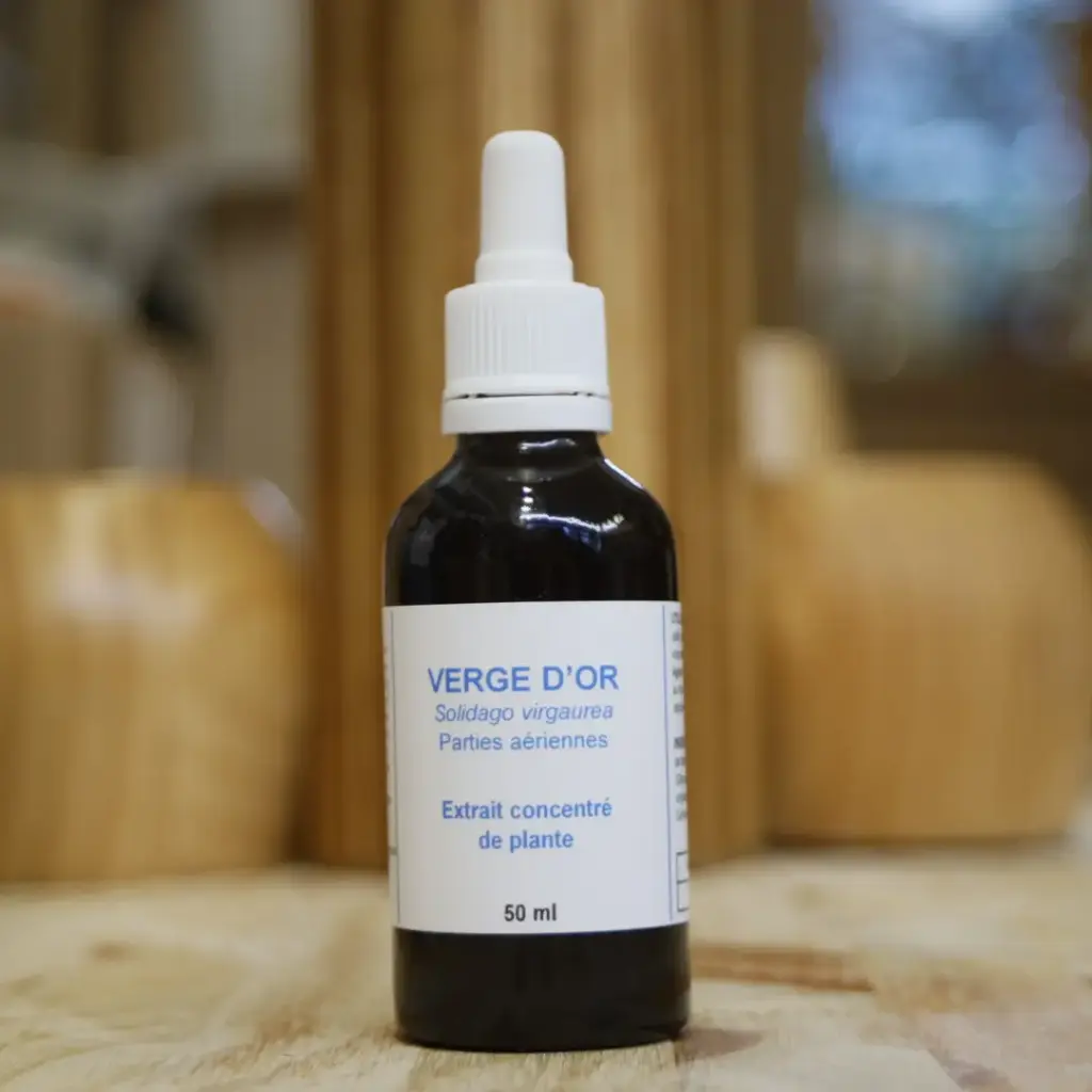 VERGE D'OR en macération de plante (15%) en 50 ml VECTEUR ENERGY
