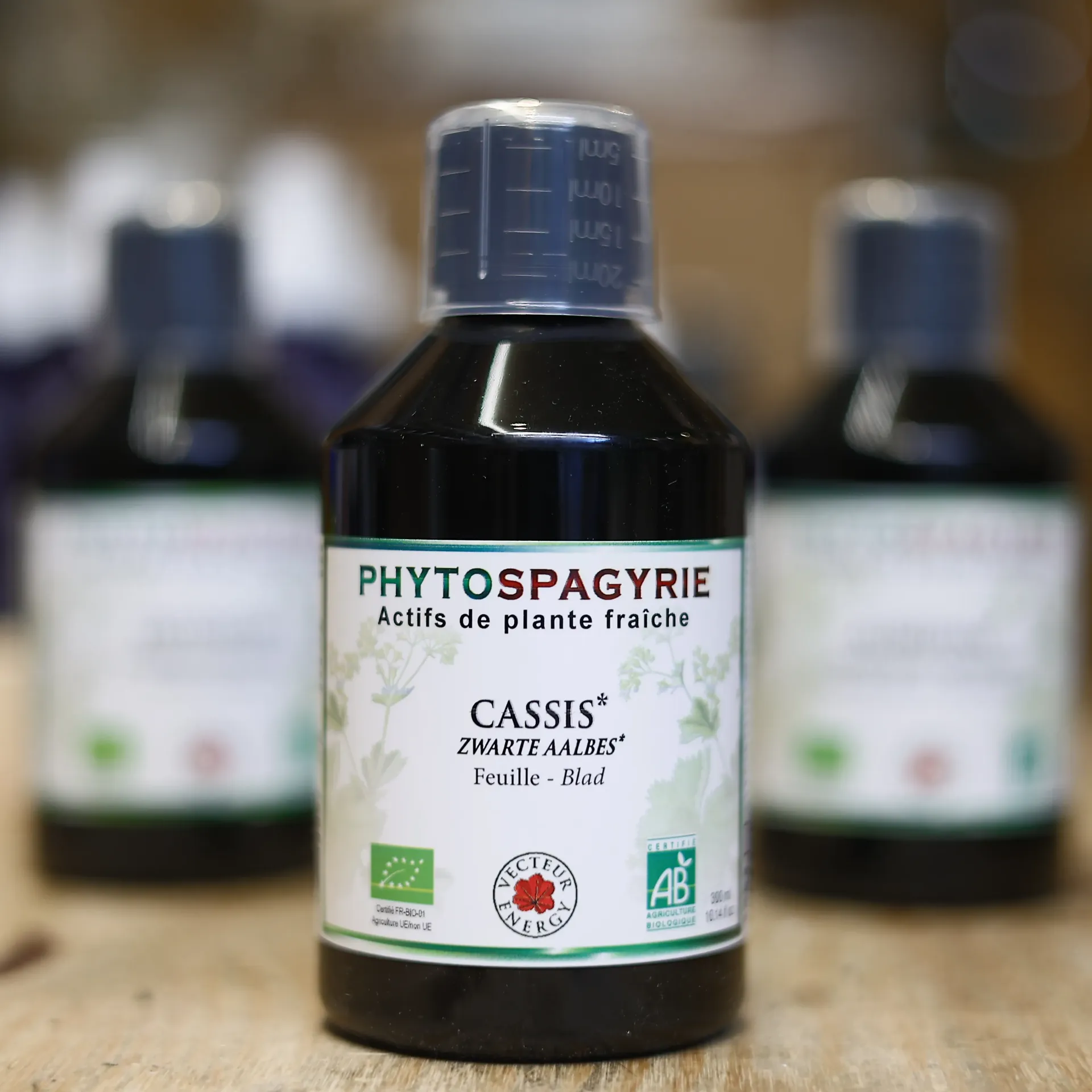 Cassis en macération de plante en 300 ml VECTEUR ENERGY