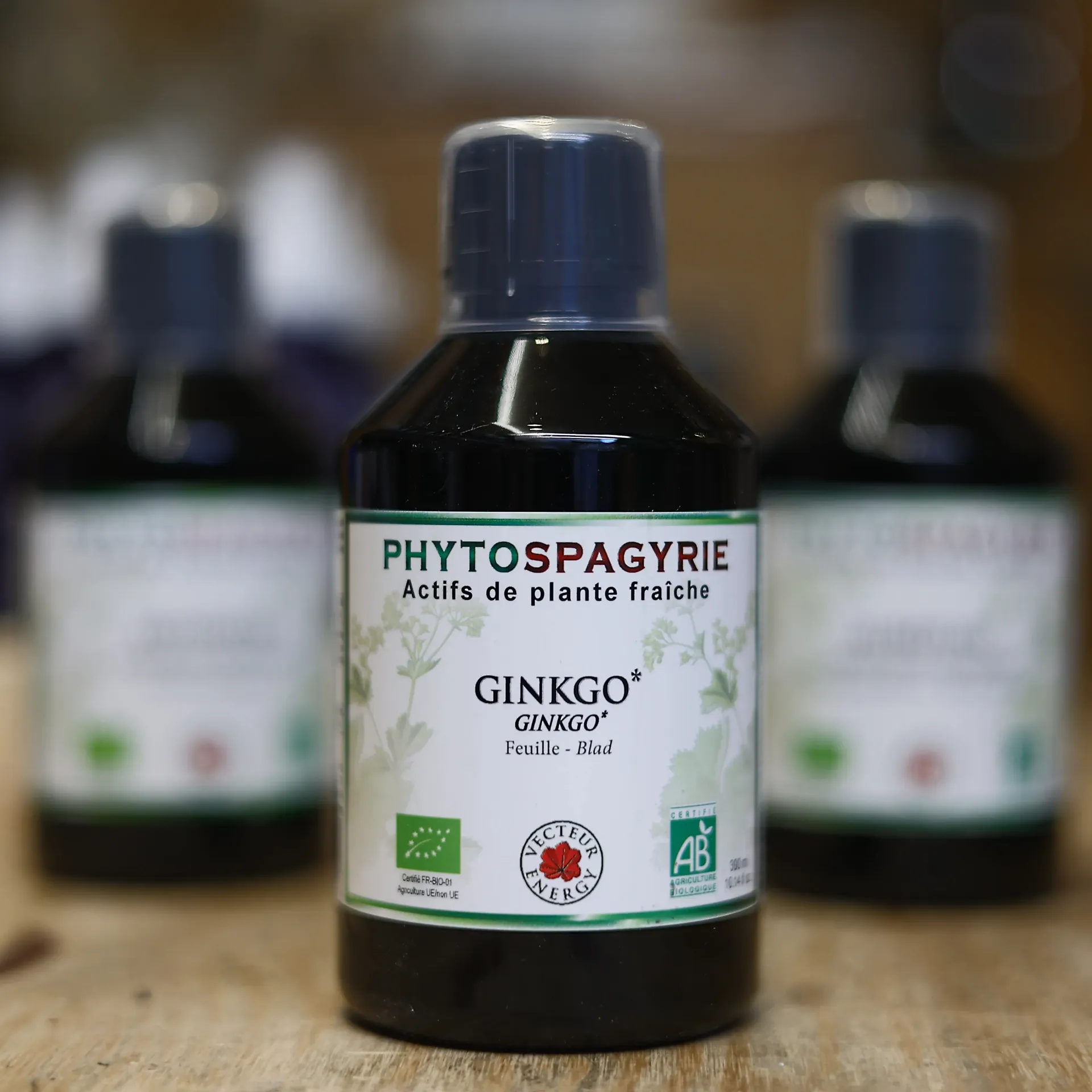 Ginkgo en macération de plante en 300 ml VECTEUR ENERGY (gingko)