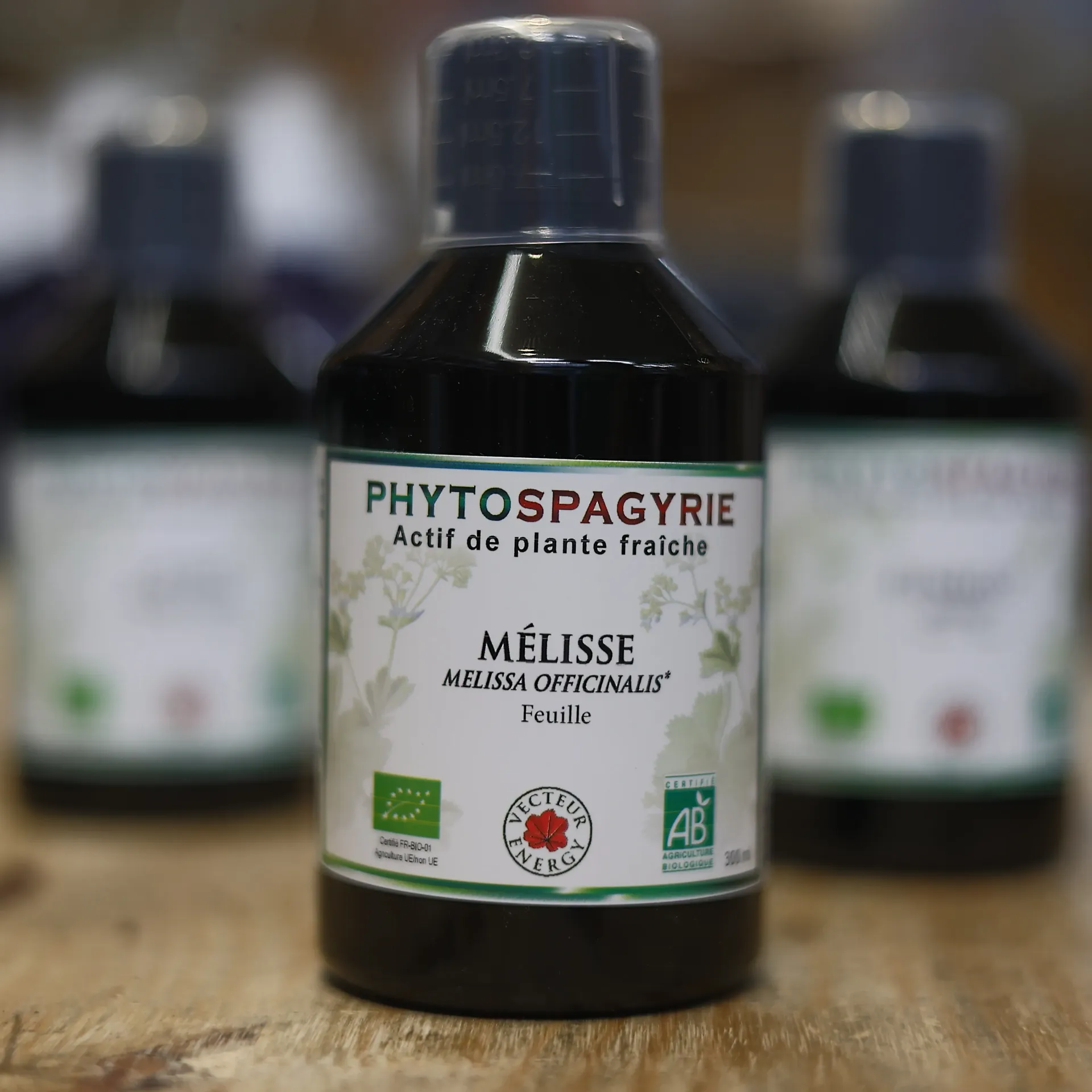 Mélisse en macération de plante en 300 ml VECTEUR ENERGY