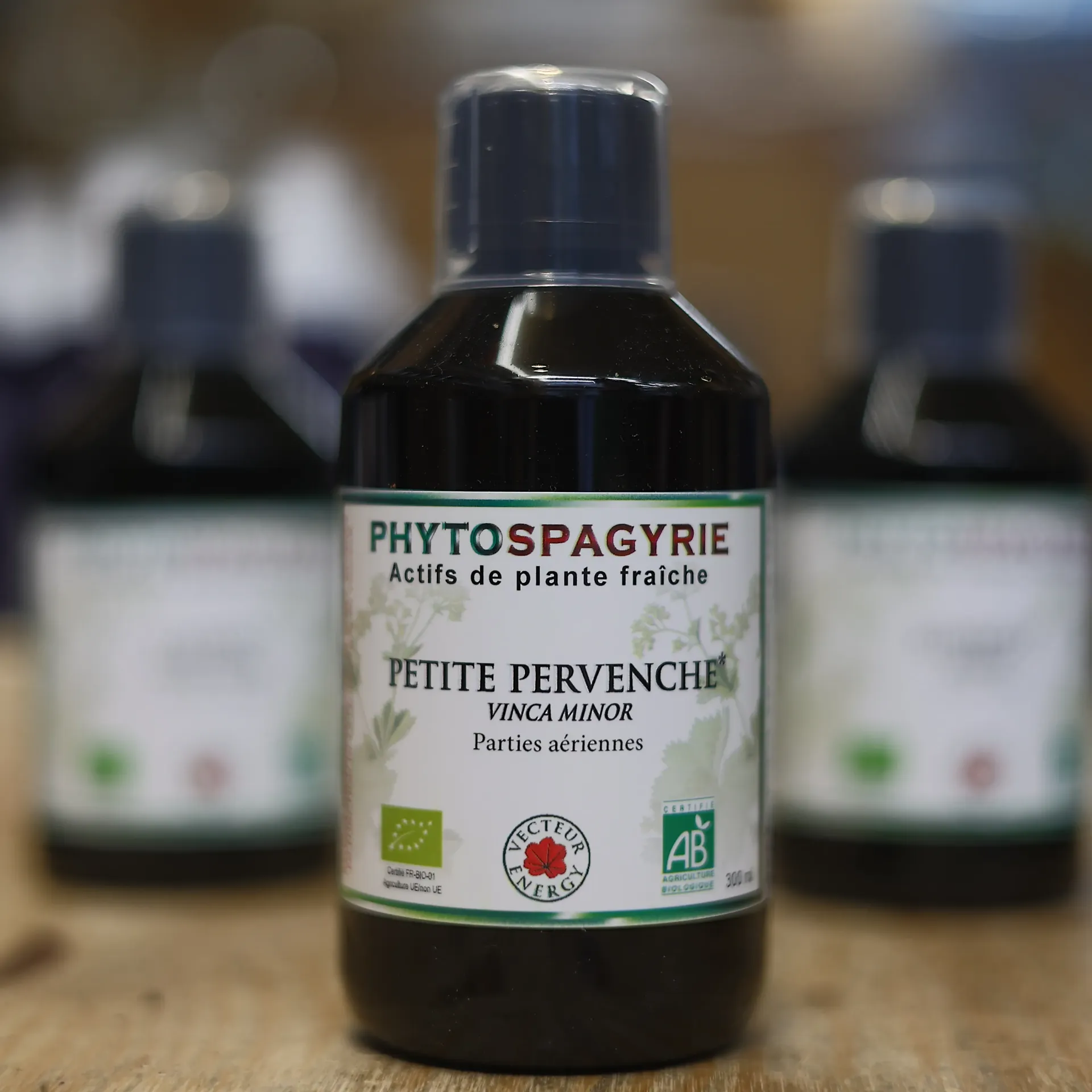 Petite Pervenche en macération de plante en 300 ml VECTEUR ENERGY
