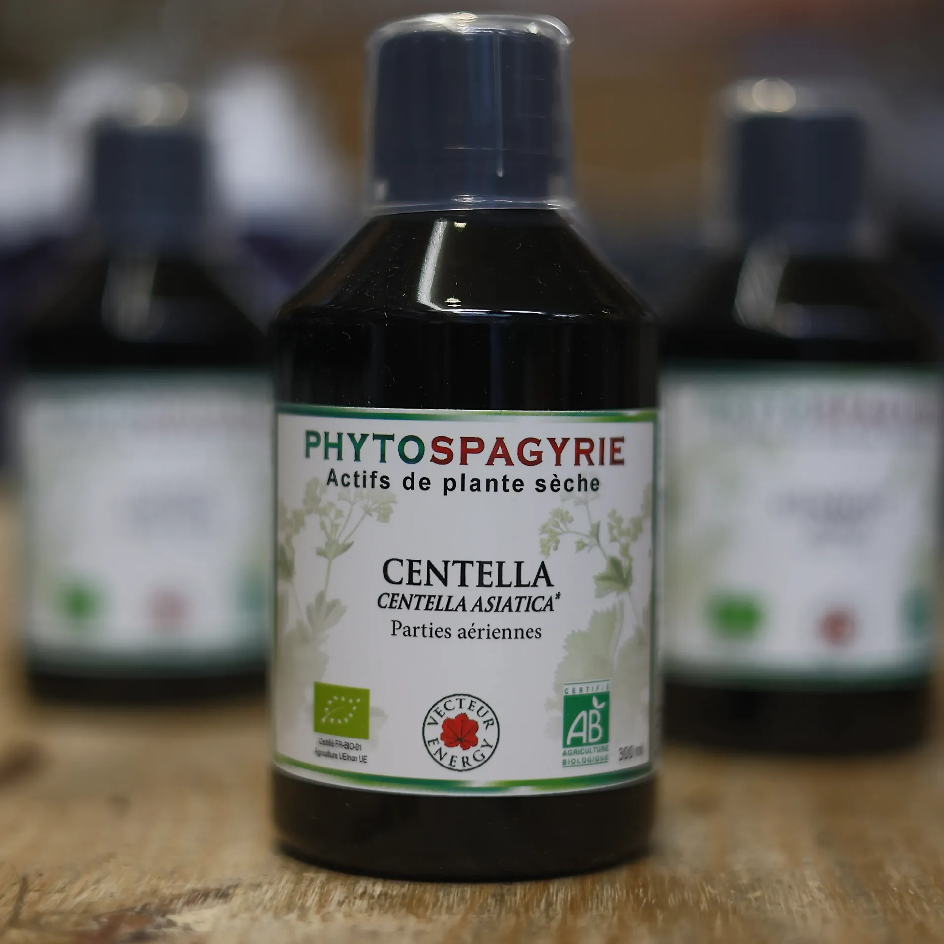 Centella asiatica en macération de plante en 300 ml VECTEUR ENERGY