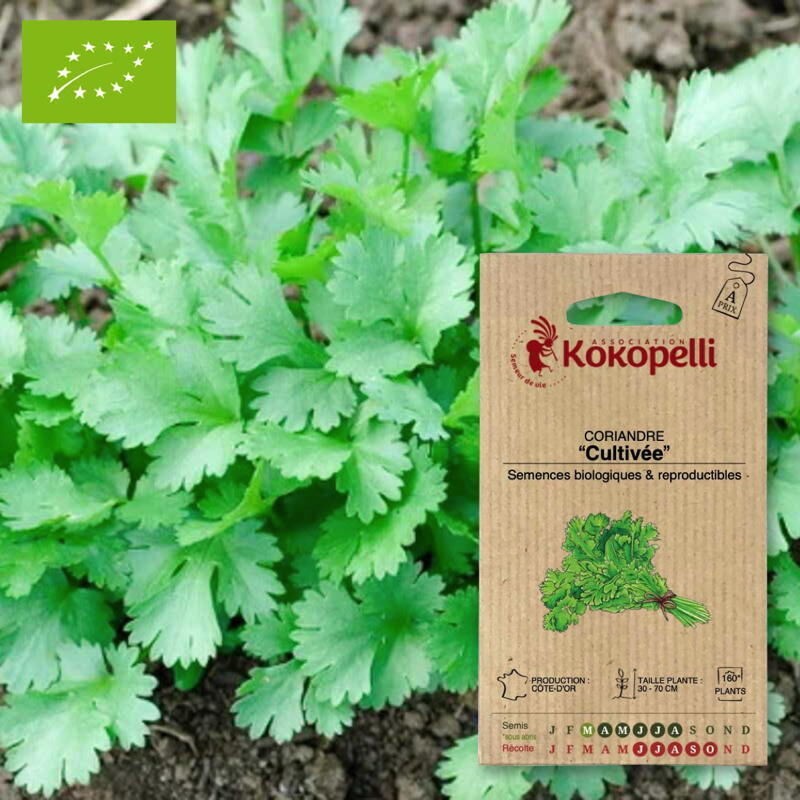 [F1370] Dahlia Double Extreme graines KOKOPELLI